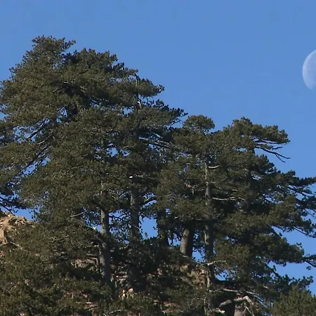 Hotel Valia Calda 3*