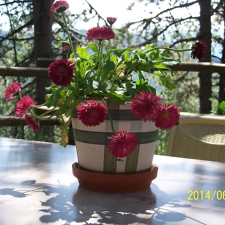 Valia Calda Hotel Perivoli (Grevena)