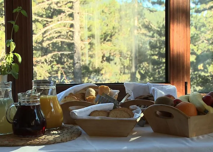 Valia Calda Hotel Perivoli (Grevena)