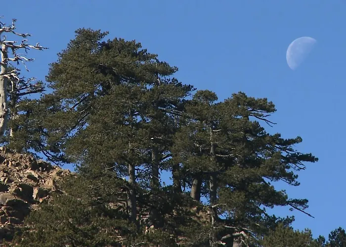 Hotel Valia Calda 3*