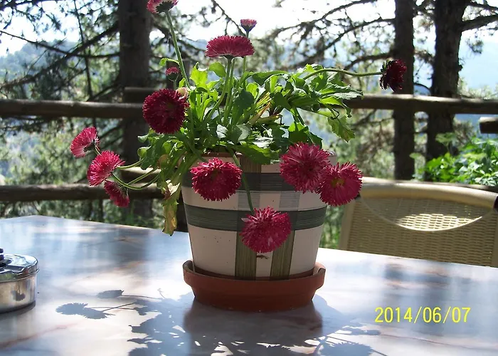 Valia Calda Hotel Perivoli (Grevena)